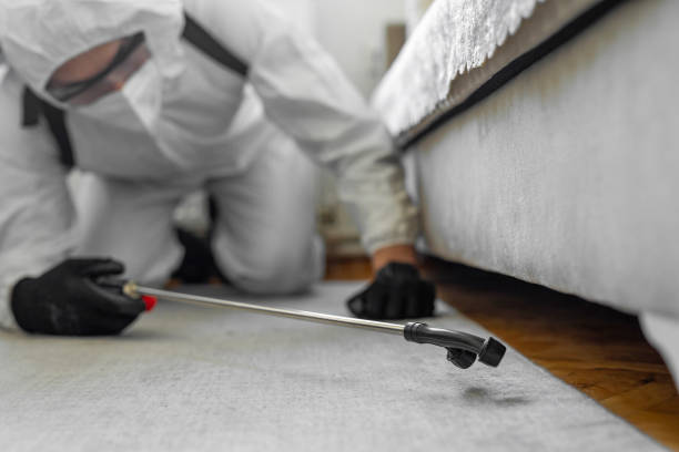 Professional Termite Control technician working in West Terre Haute, IN