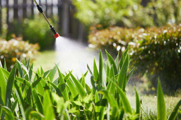 24/7 Emergency Termite Control experts in West Terre Haute, IN