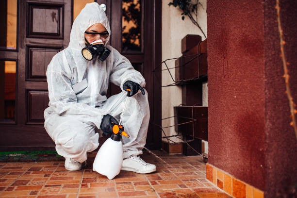 Reliable Termite Control contractor in West Terre Haute, IN by Nex Pest Control