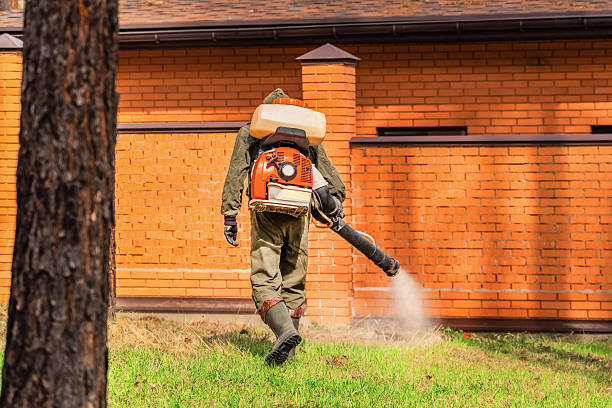 Trusted Termite Control service in West Terre Haute, IN - Nex Pest Control